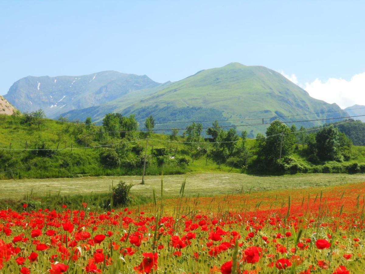 Agriturismo Le Castellare Montemonaco Kültér fotó