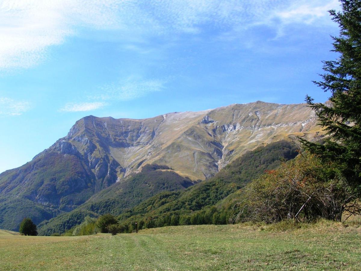 Agriturismo Le Castellare Montemonaco Kültér fotó