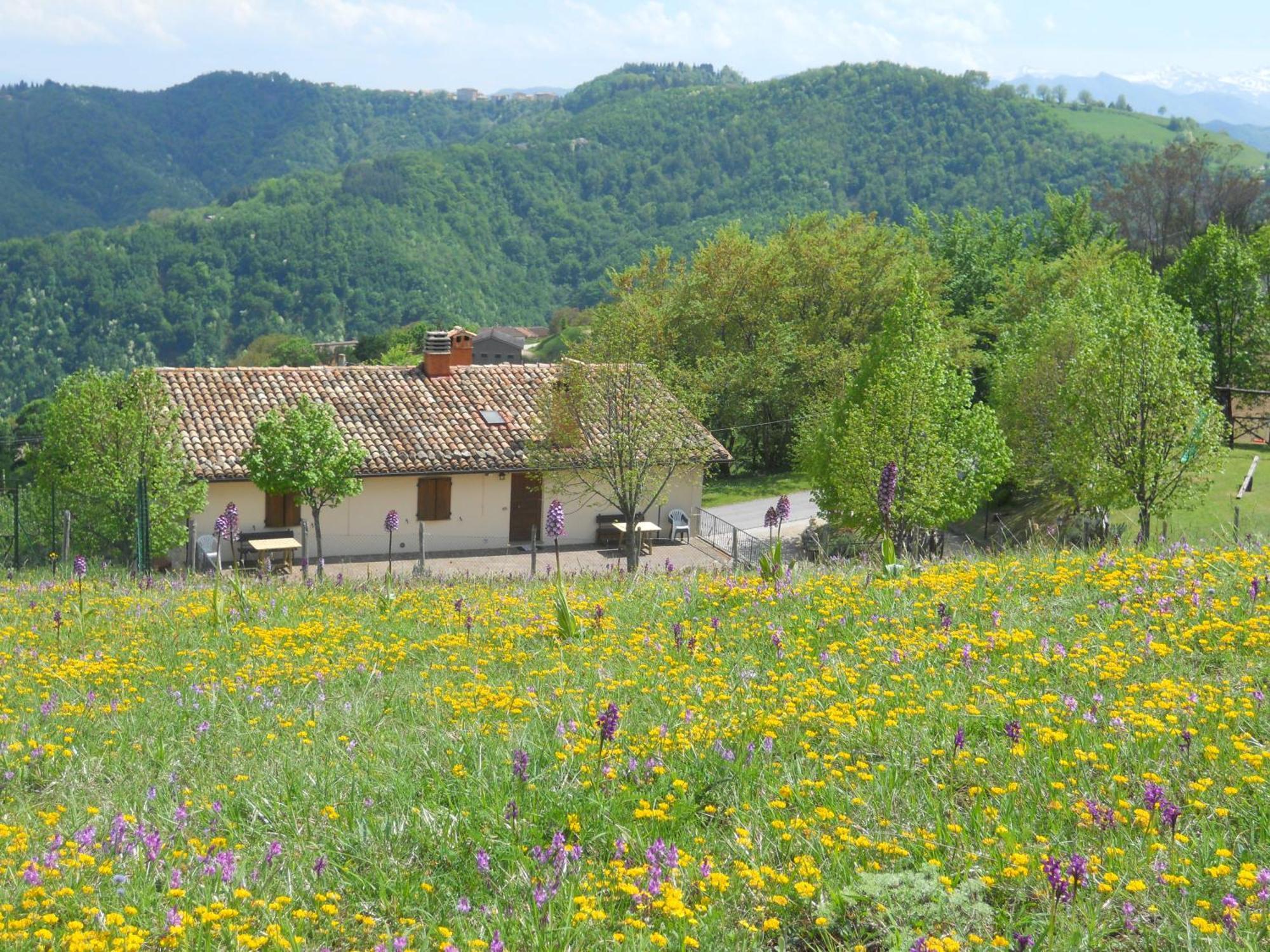 Agriturismo Le Castellare Montemonaco Kültér fotó