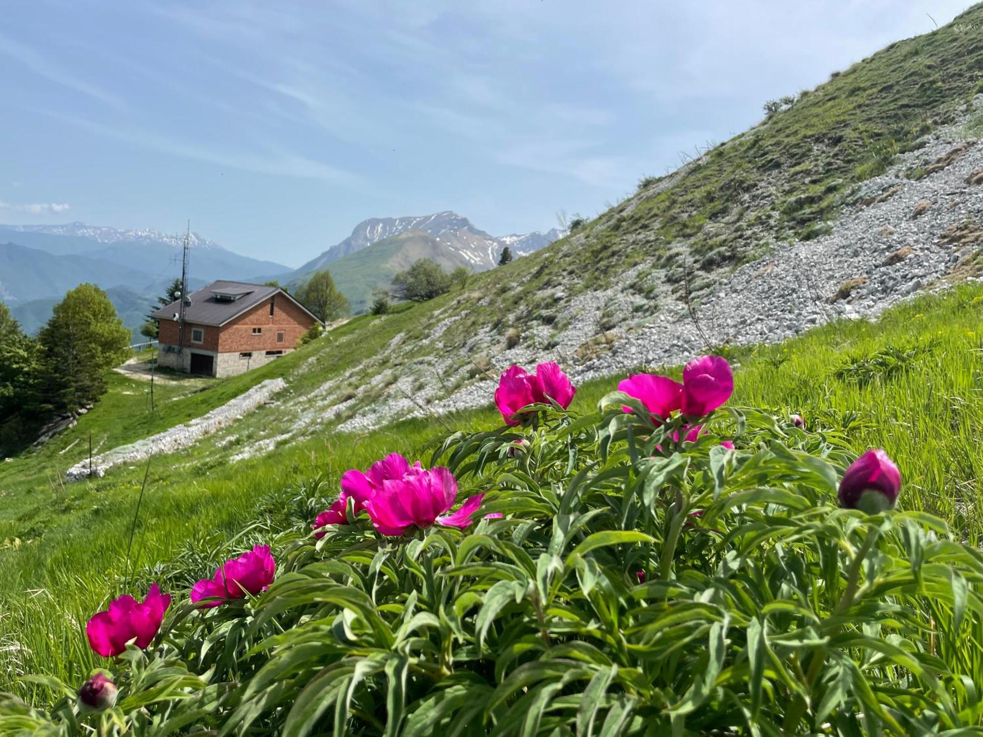 Agriturismo Le Castellare Montemonaco Kültér fotó