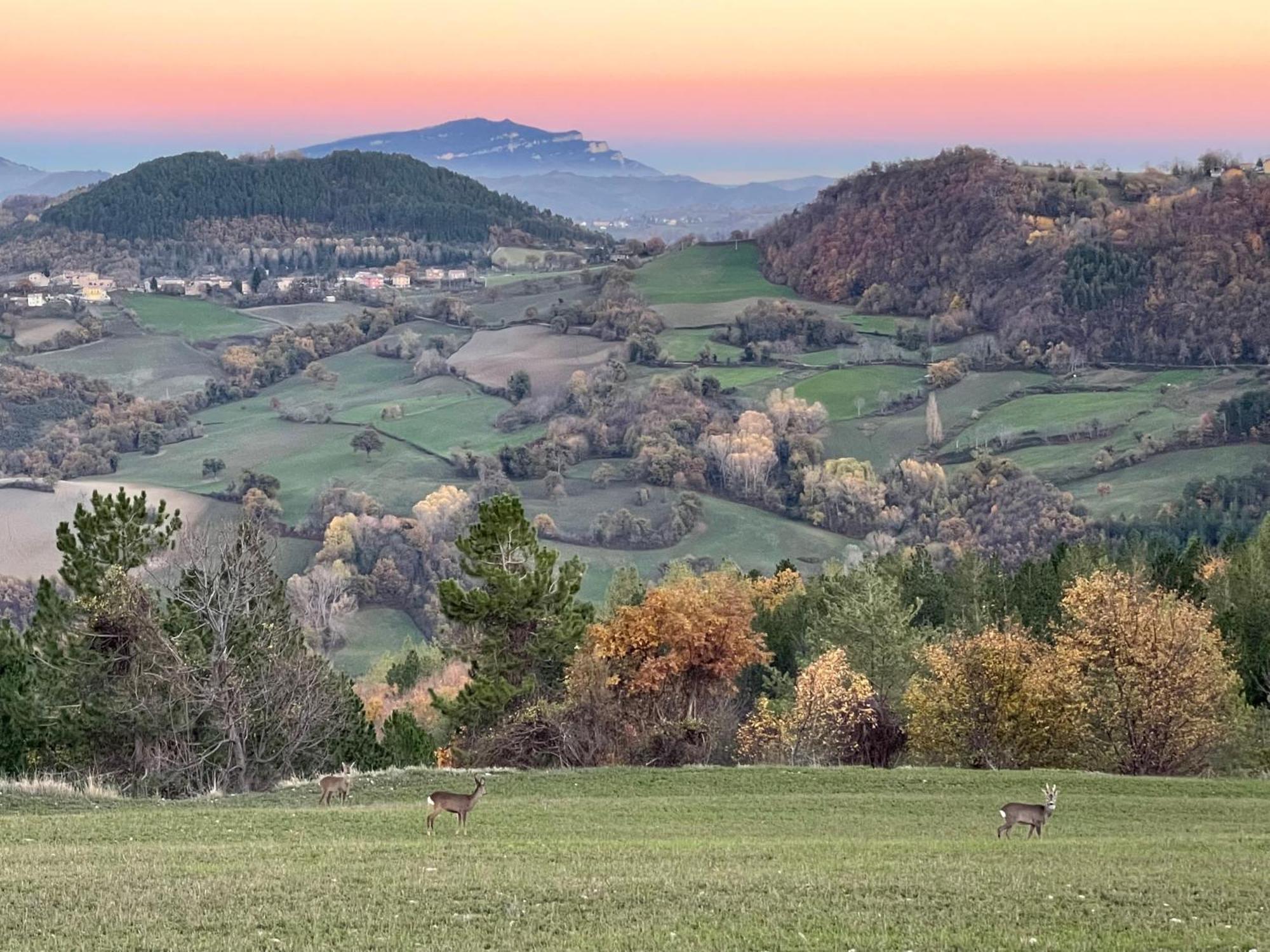 Agriturismo Le Castellare Montemonaco Kültér fotó