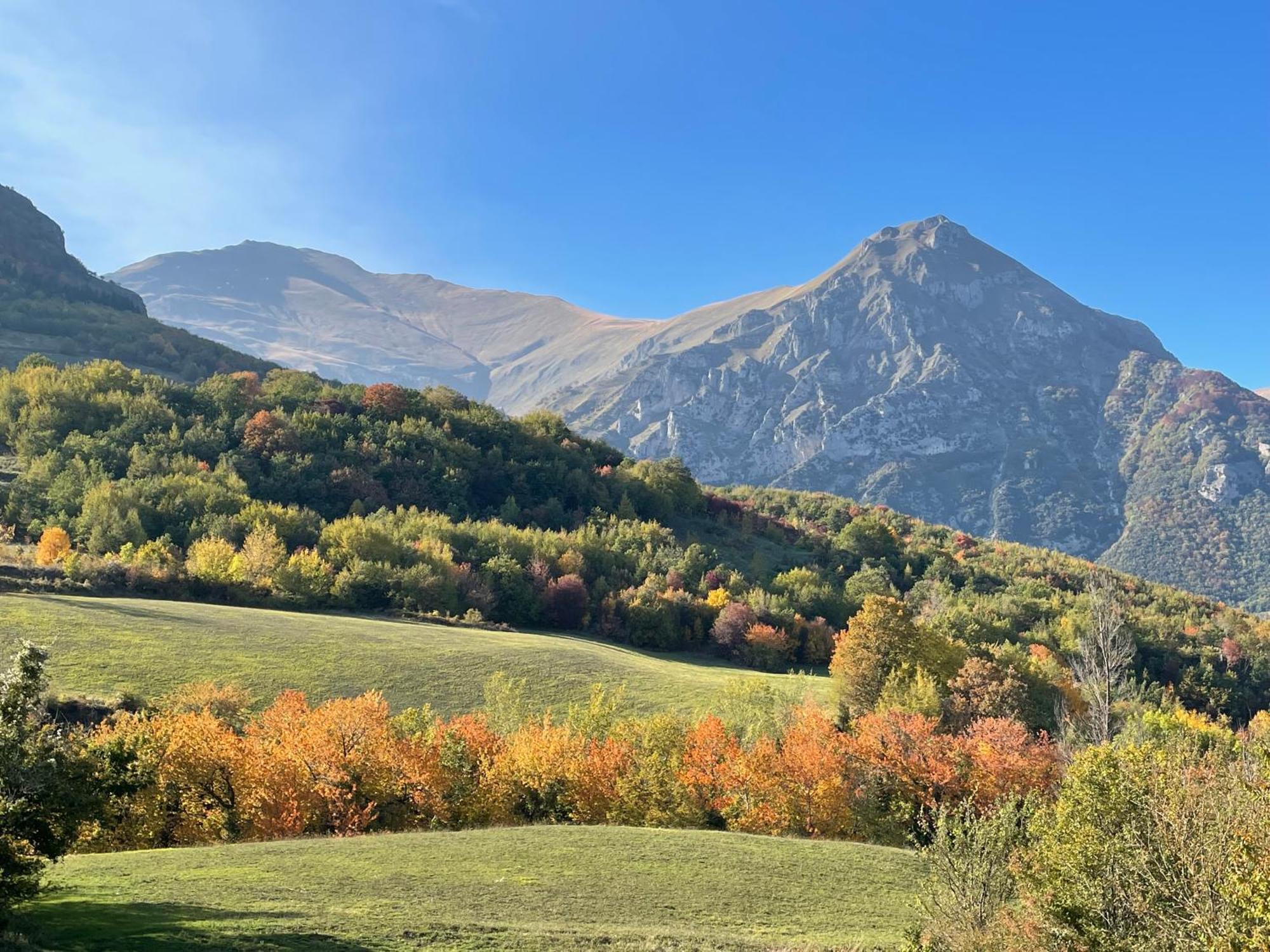 Agriturismo Le Castellare Montemonaco Kültér fotó